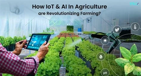 News5 Launches AI Content Farming Role Amid Trust Concerns